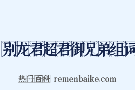 别龙君超君御兄弟组词是什么意思的图片